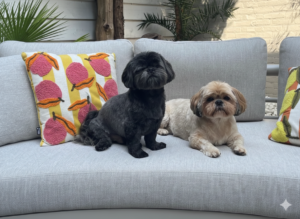 Gemini_Generated_Image_hw69ohw69ohw69oh